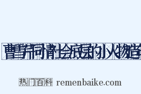 曹雪芹同情社会底层的小人物造句是什么意思的图片